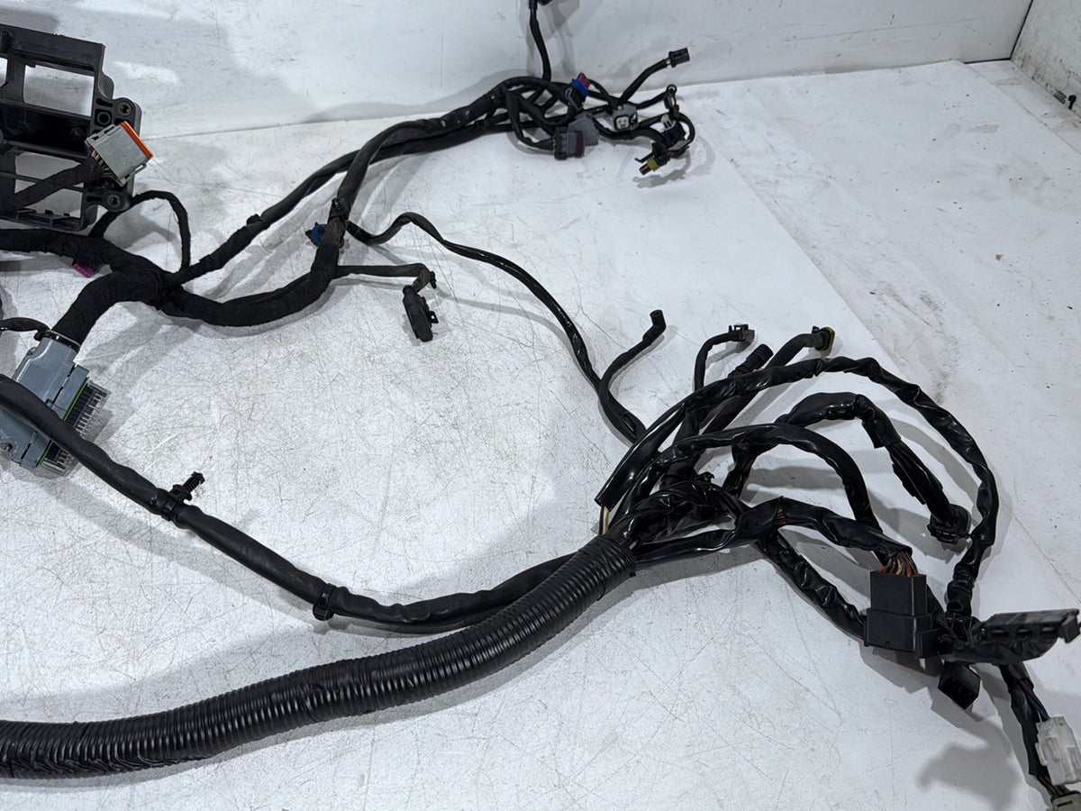 2009 Harley Dyna Street Bob FXDB OEM Main Wire Wiring Harness Loom