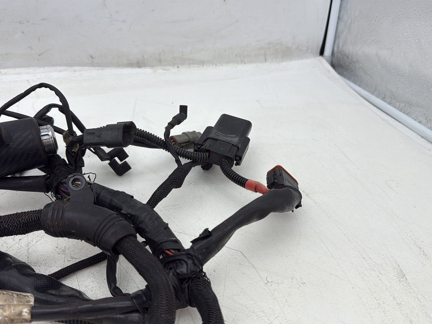 2004 Harley Sportster XL883C 883 Custom OEM Main Wire Wiring Harness Ignition Switch NOKey