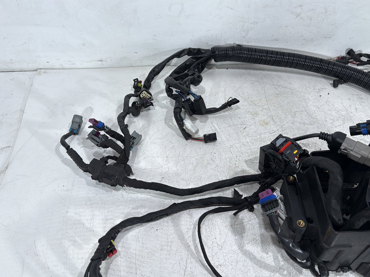 2014 Harley Dyna Low Rider FXDL OEM Main Wire Wiring Harness Loom NON-abs