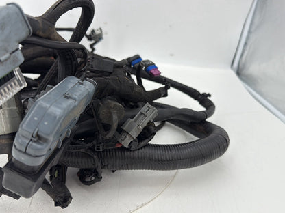 2007 - 2012 Harley-Davidson Dyna Super Glide Main Wire Wiring Harness Loom 69602-08