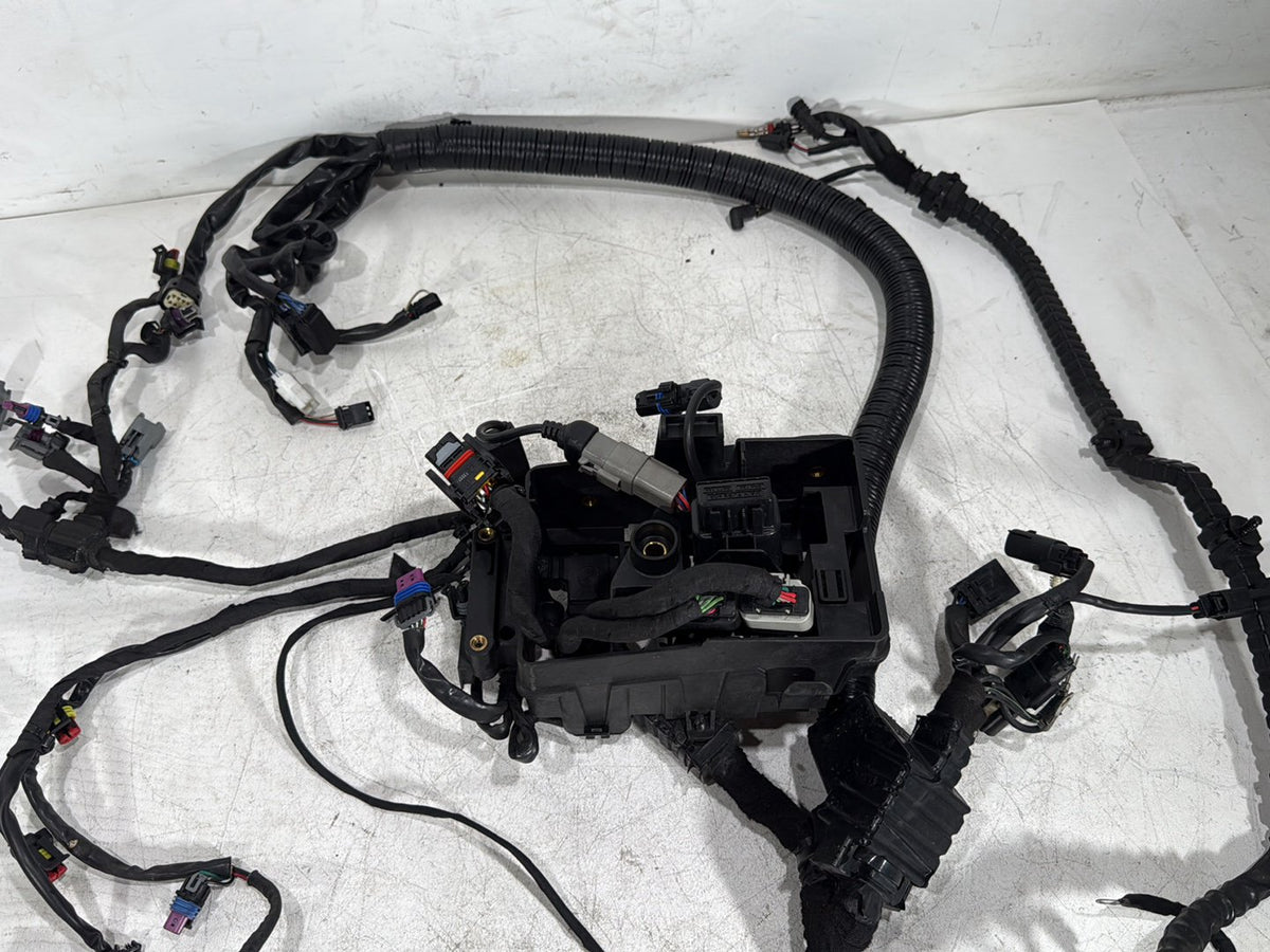 2014 Harley Dyna Low Rider FXDL OEM Main Wire Wiring Harness Loom NON-abs