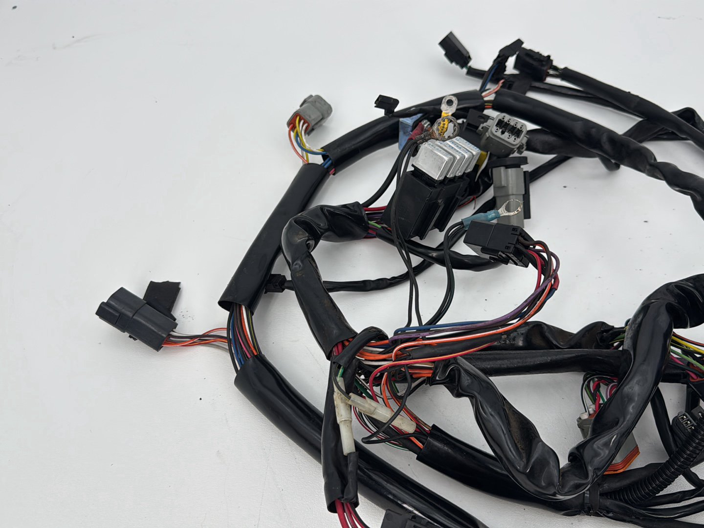 1999 - 2006 Harley-Davidson Dyna Low Rider Main Wire Wiring Harness Loom