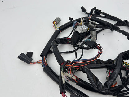 1999 - 2006 Harley-Davidson Dyna Low Rider Main Wire Wiring Harness Loom