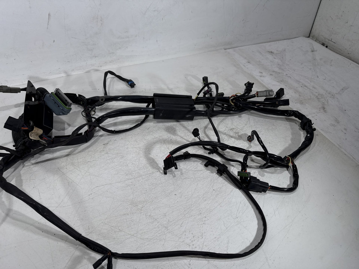 04 Harley Heritage Softail Classic FLSTCI OEM Main Wire Wiring Harness Loom EFI