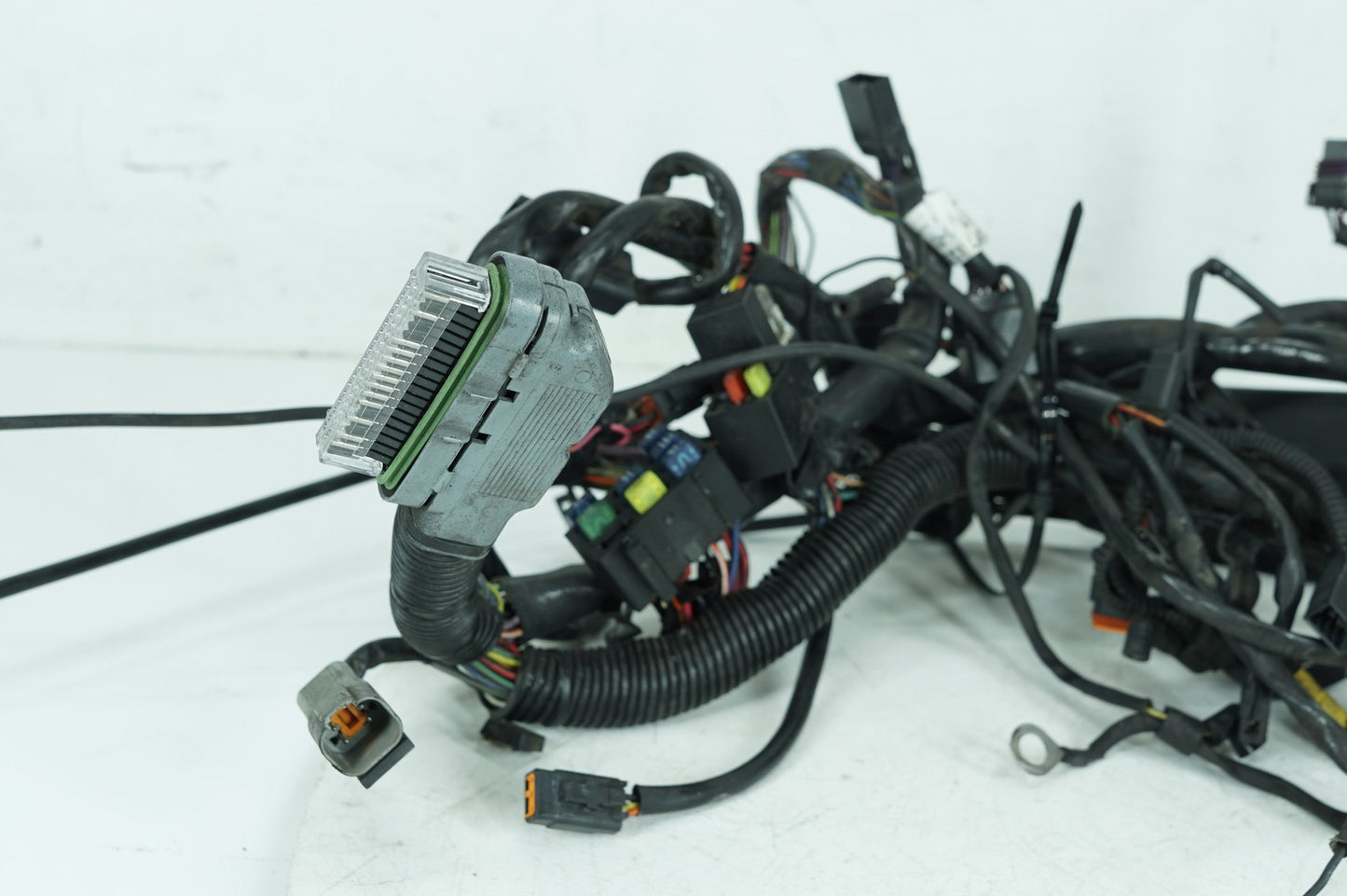 2000 - 2006 Harley-Davidson Softail Deuce Main Wire Wiring Harness Loom 70216-01