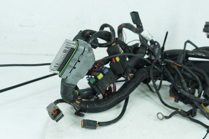 2000 - 2006 Harley-Davidson Softail Deuce Main Wire Wiring Harness Loom 70216-01