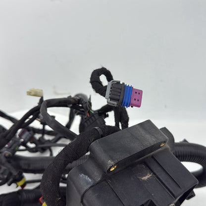 2007 - 2012 Harley-Davidson Dyna Super Glide Main Wire Wiring Harness Loom 69602-08