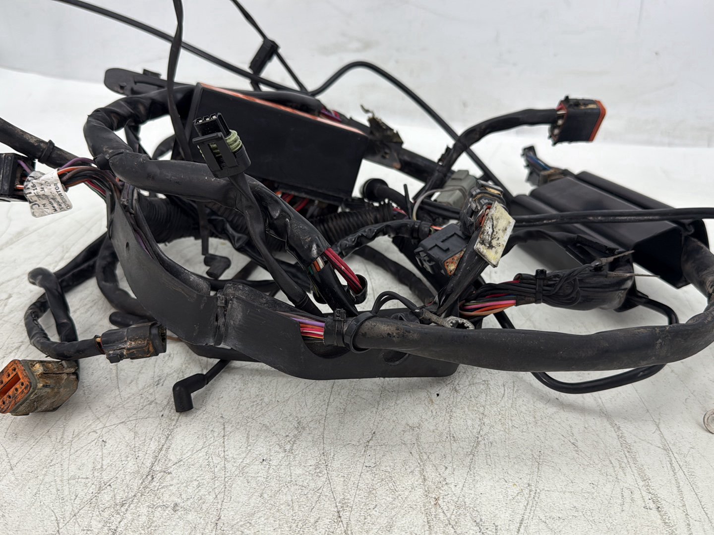 2000 Harley Softail FLSTC Heritage Classic OEM Main Wire Wiring Harness Loom