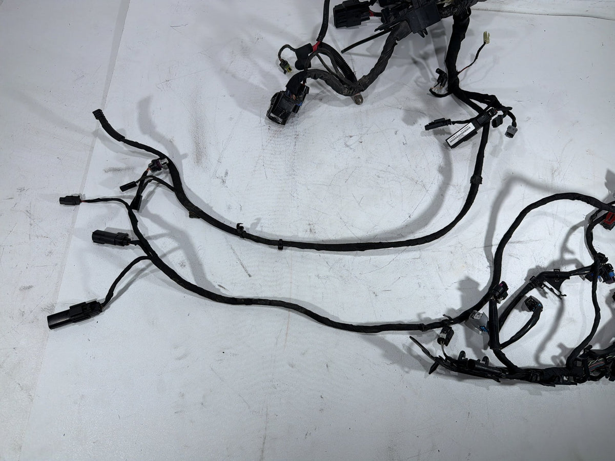 2020 Harley Softail Standard FXST OEM Main Wire Wiring Harness Loom NON-abs