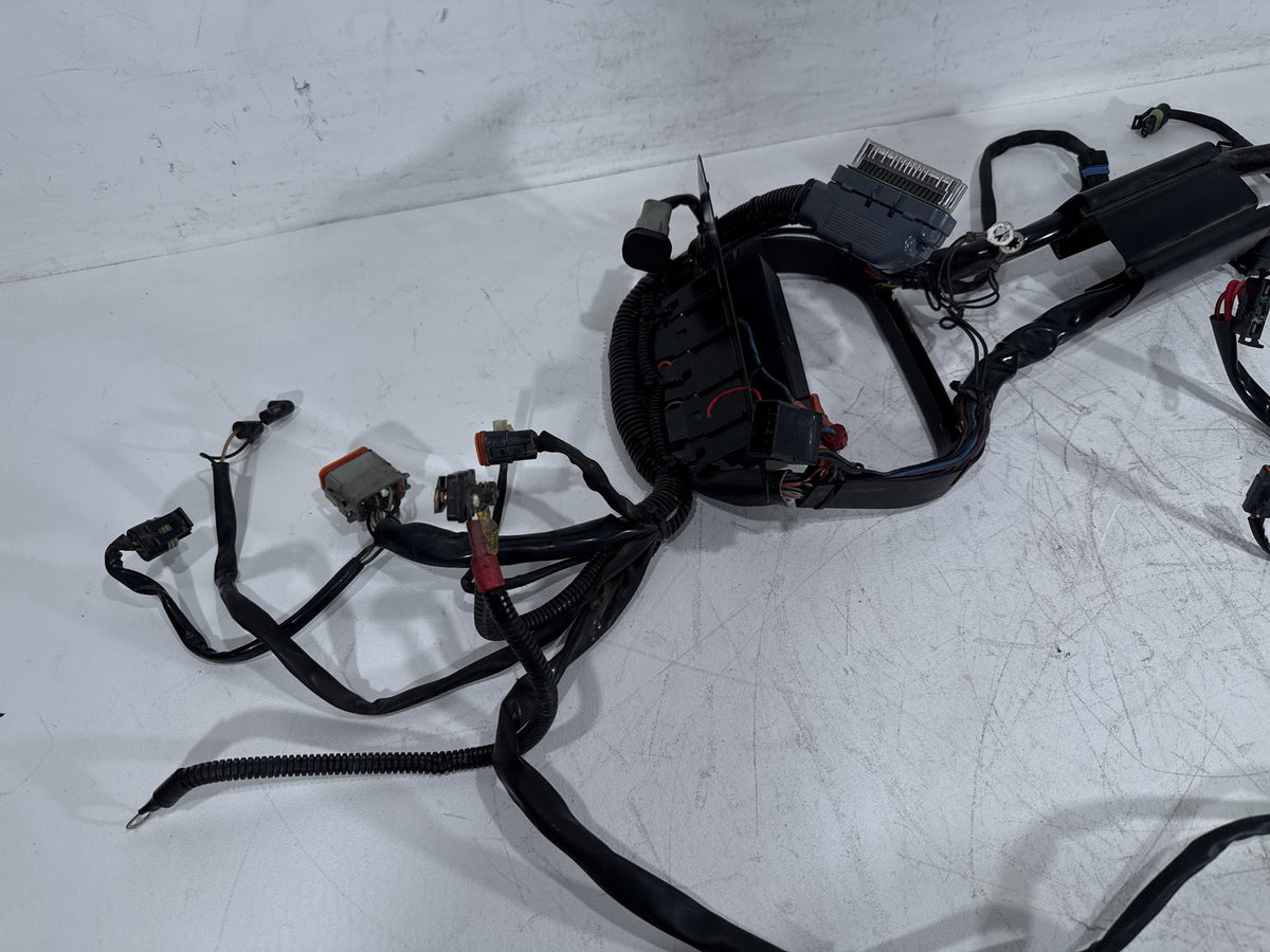 2003 Harley Softail Deuce FXSTDI OEM Main Wire Wiring Harness Loom EFI