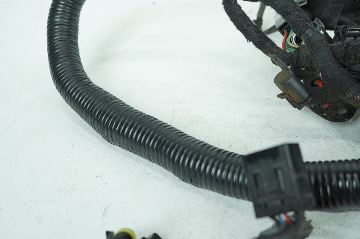 2008 Harley Dyna FXDWG 105th Wide Glide OEM Main Wire Wiring Harness Loom