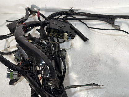 2007 - 2012 Harley-Davidson Touring Electra Glide Ultra Main Wire Wiring Harness Loom 71000-07