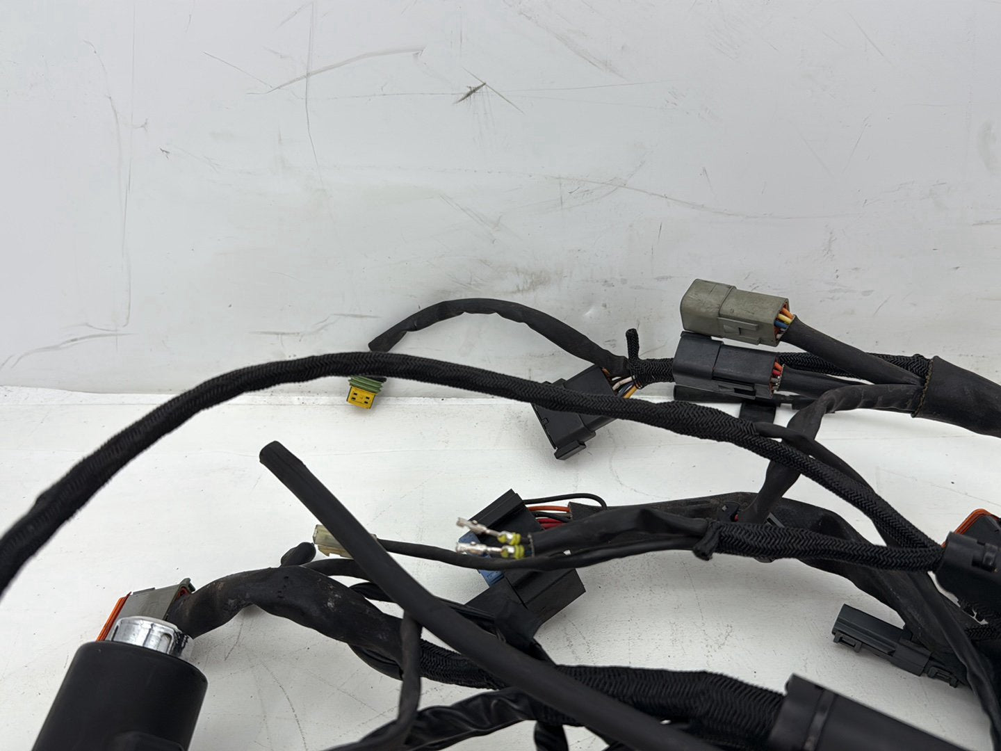 2006 Harley Sportster XL883L Low Main Wire Wiring Harness Ignition Switch NOKey