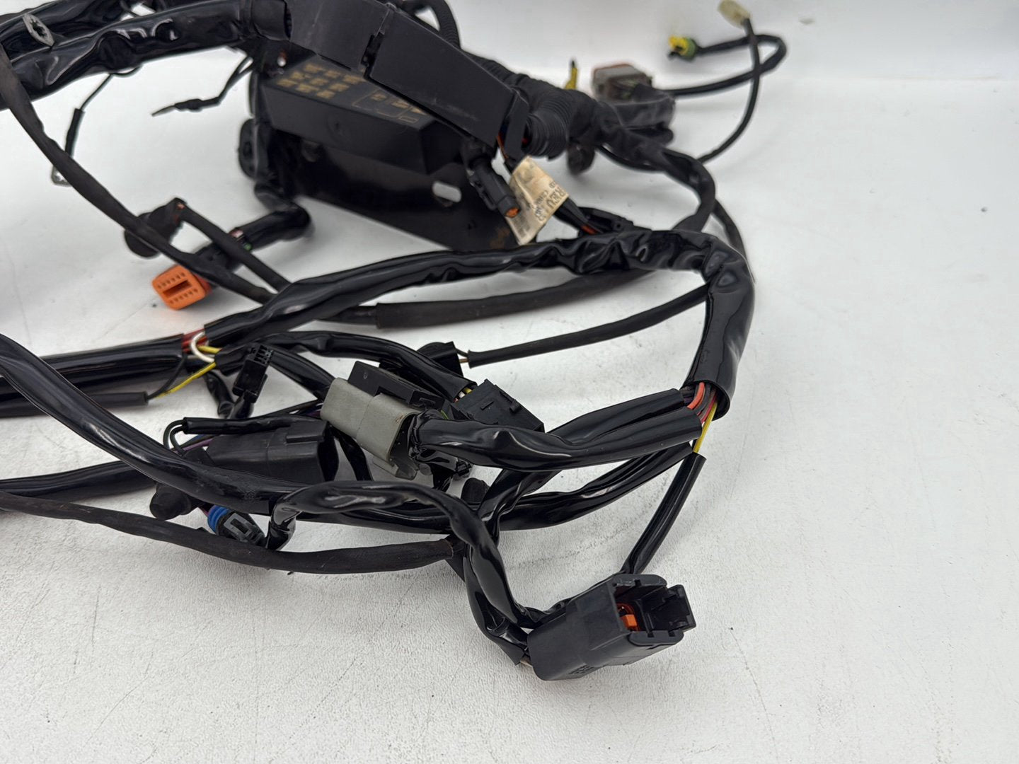 1999 - 2006 Harley-Davidson Softail Heritage Main Wire Wiring Harness Loom 70216-06