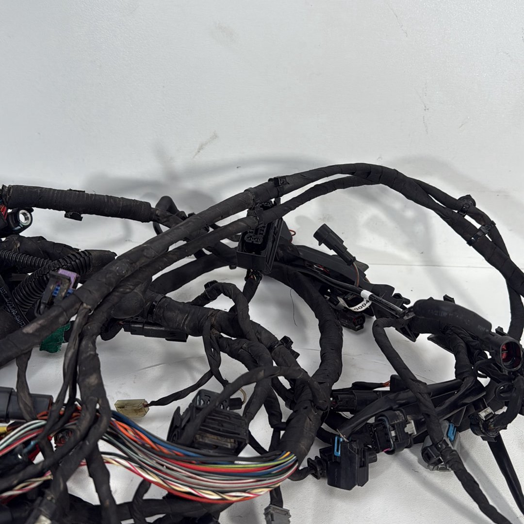 2017 - 2026 Harley-Davidson Softail Heritage Classic 114 Main Wire Wiring Harness Loom ABS 69201492
