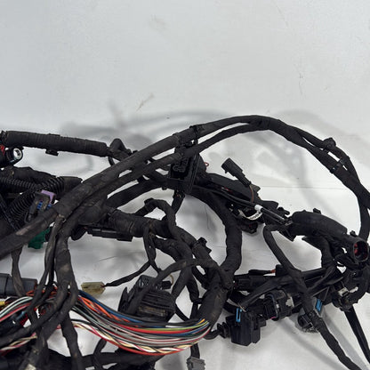 2017 - 2026 Harley-Davidson Softail Heritage Classic 114 Main Wire Wiring Harness Loom ABS 69201492