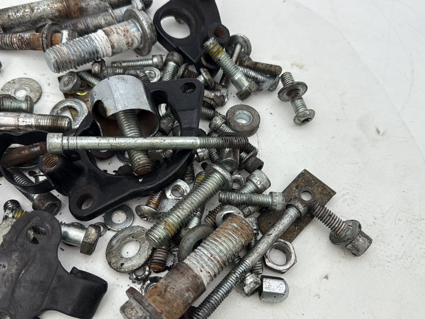 2004 - 2013 Harley-Davidson Sportster 1200 Custom Hardware Bolts Nuts & Brackets