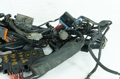 1999 - 2006 Harley-Davidson Touring Electra Glide Classic Main Wire Wiring Harness Loom 70985-01