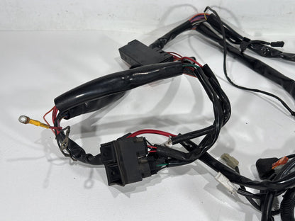 1998 Harley Road King Touring FLHRCI Classic OEM Main Wire Wiring Harness Loom