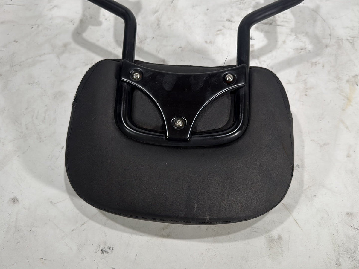 2022 Harley Road King Touring FLHR OEM Rear Sissy Bar w/ Backrest Cushion Pad