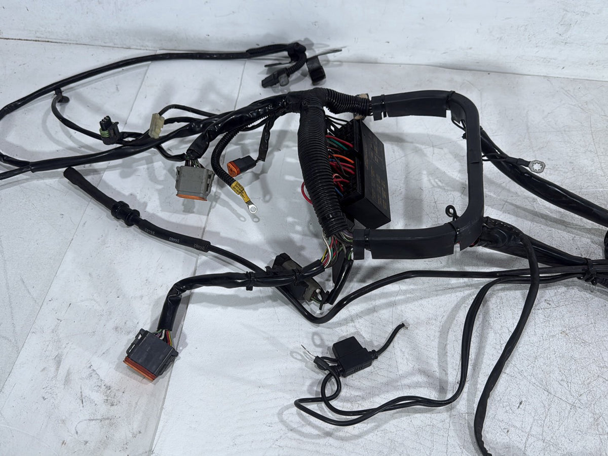 2005 Harley Softail Fat Boy FLSTF OEM Main Wire Wiring Harness Loom CARB