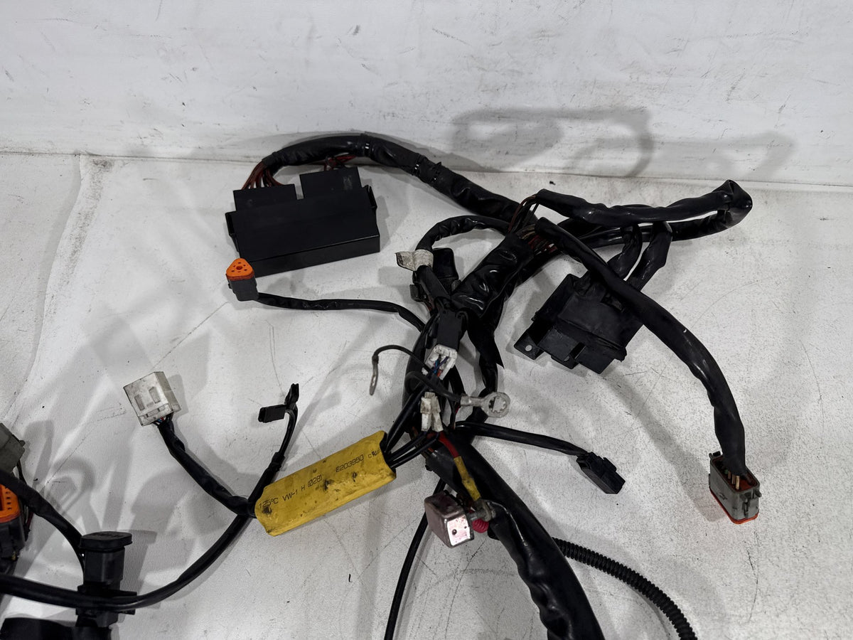2002 Harley Electra Glide Touring Classic OEM Main Wire Wiring Harness Loom CARB