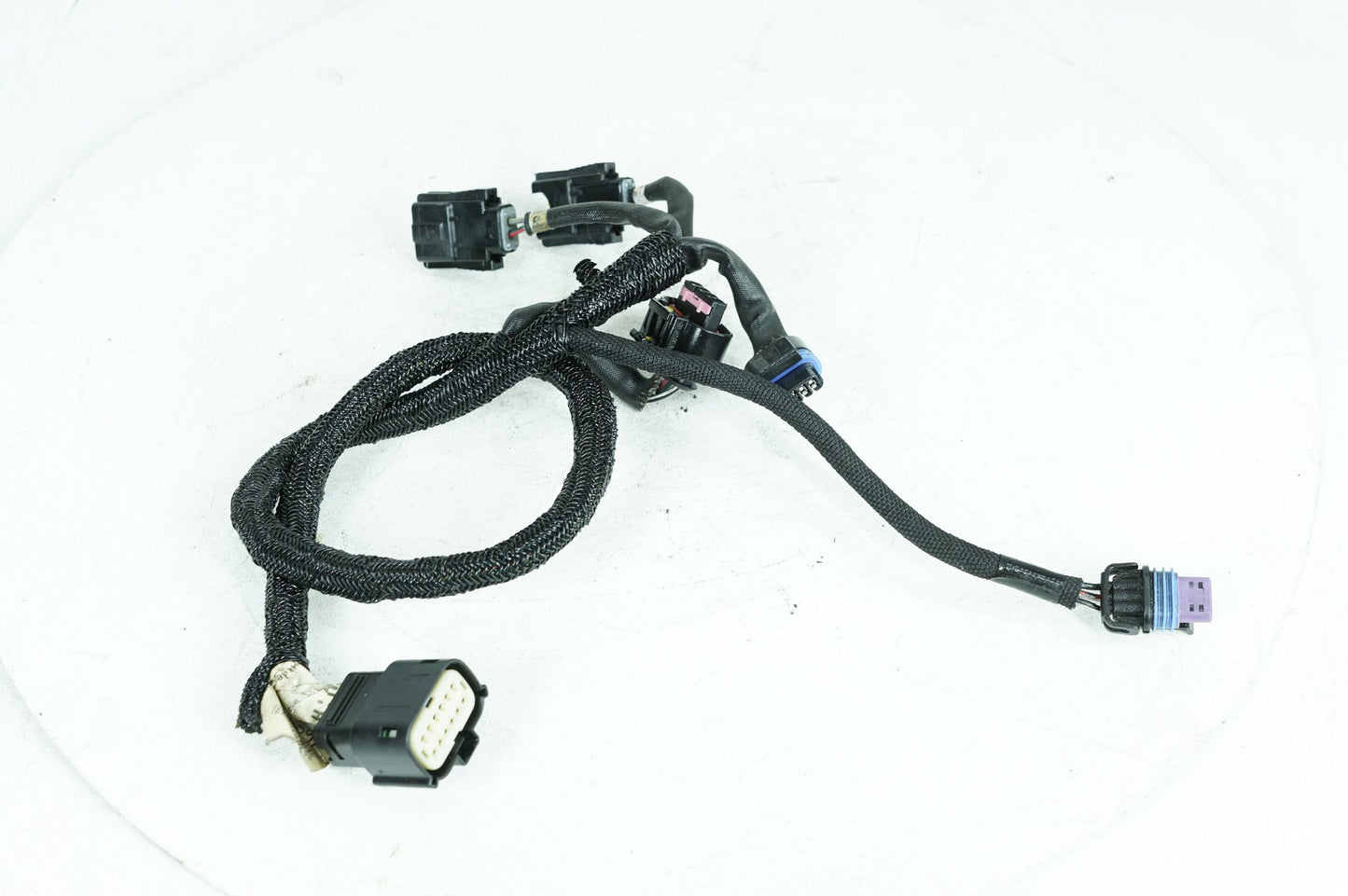 2013 - 2022 Harley-Davidson Sportster Iron Engine Bay Wire Wiring Harness 69200077