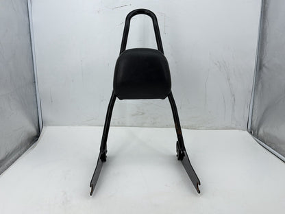 2012 Harley Dyna Fat Bob FXDF 103 OEM Rear Sissy Bar w/ Backrest Cushion Pad