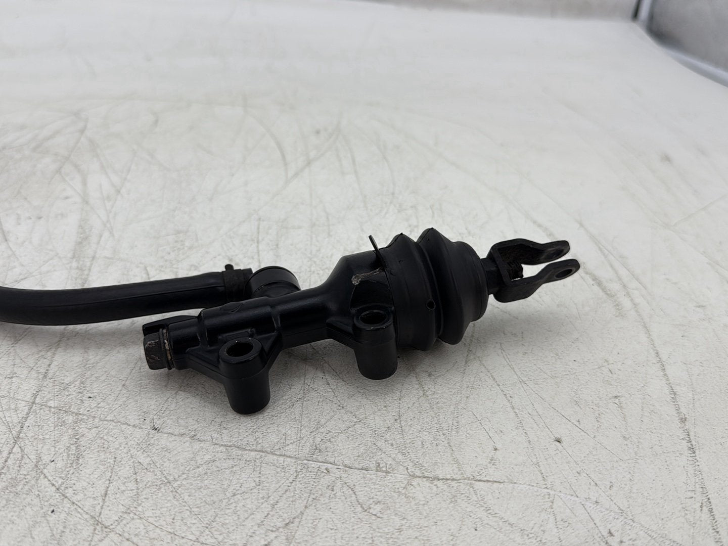 2004 Harley Sportster XL883C 883 Custom OEM Rear Brake Master Cylinder Bottle Brake Line