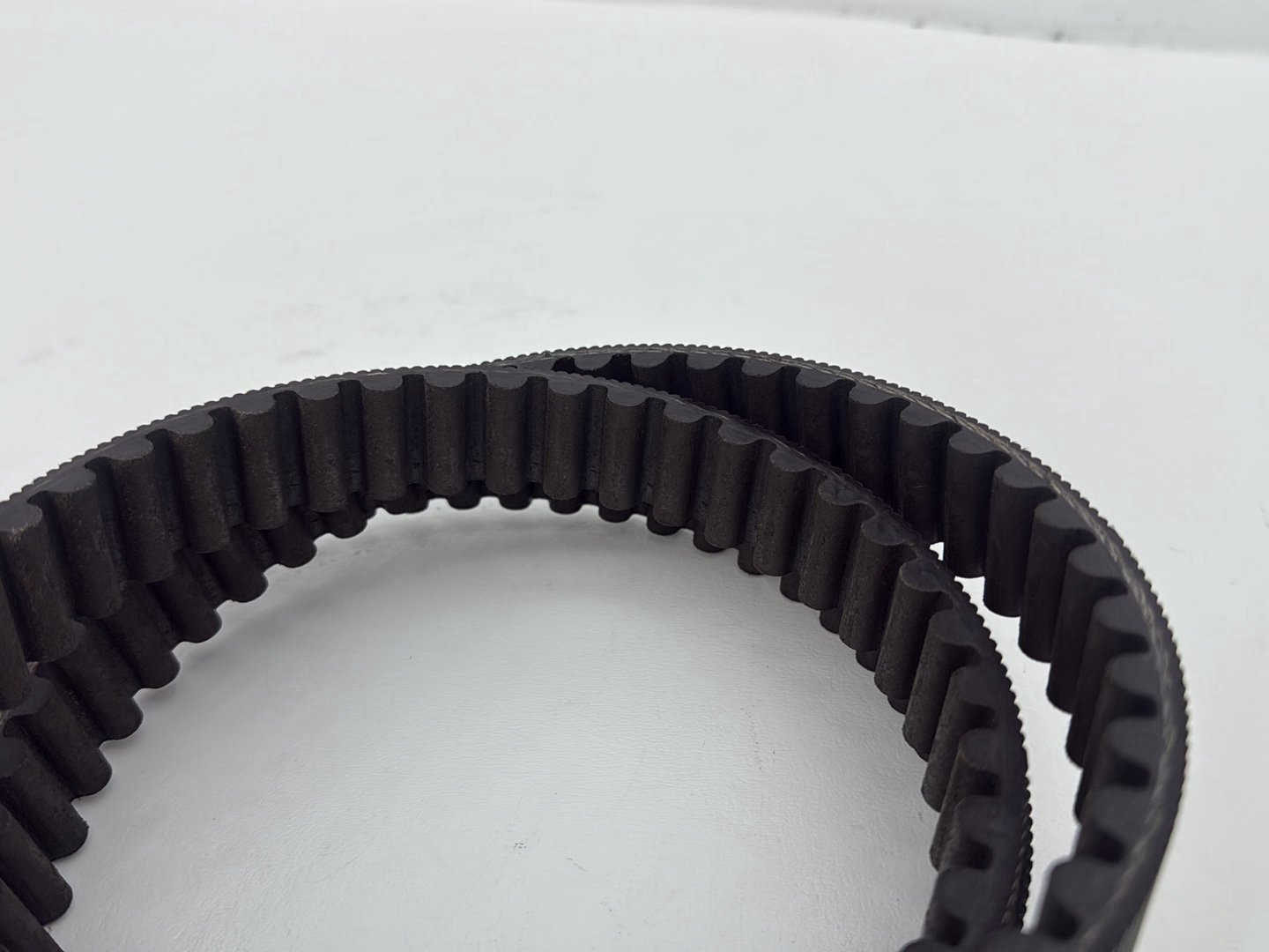 2003 Harley Sportster XL1200C 1200 Custom Anniversary OEM Rear Drive Belt