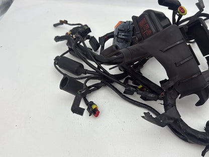2004 - 2022 Harley-Davidson Sportster 1200 Nightster Main Wire Wiring Harness Ignition Switch NOKey 70181-10