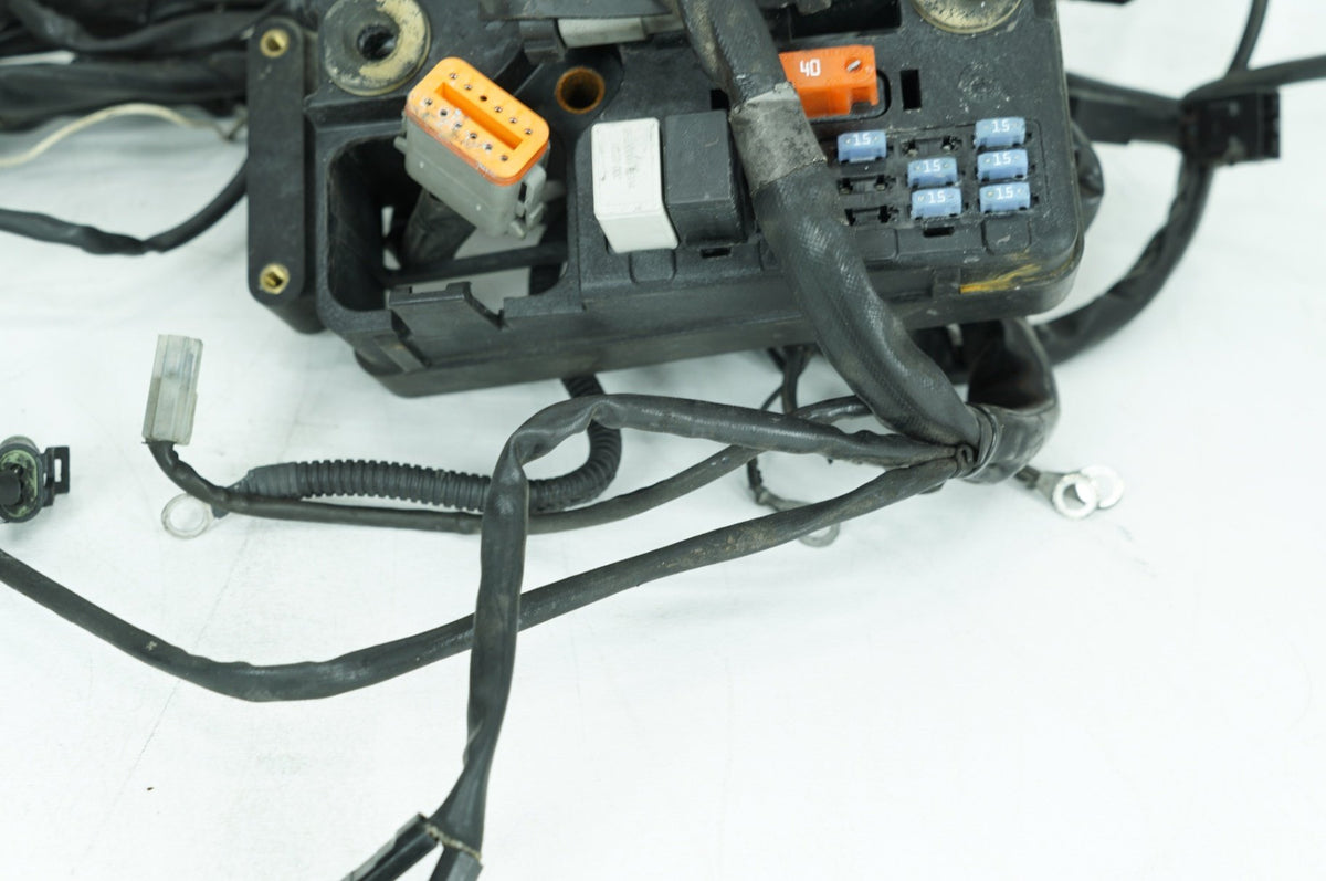 1999 - 2006 Harley-Davidson Dyna Low Rider Main Wire Wiring Harness Loom 69602-04A