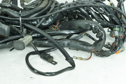 1999 - 2006 Harley-Davidson Touring Electra Glide Ultra Main Wire Wiring Harness Loom 70985-03