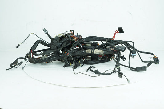 1999 - 2006 Harley-Davidson Touring Road King Police Main Wire Wiring Harness Loom 70245-99