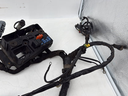 1999 - 2006 Harley-Davidson Dyna Super Glide Main Wire Wiring Harness Loom 69602-06