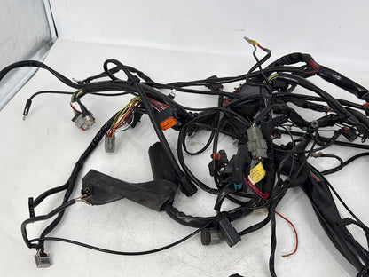 1999 - 2006 Harley-Davidson Touring Electra Glide Classic Main Wire Wiring Harness Loom 70985-01