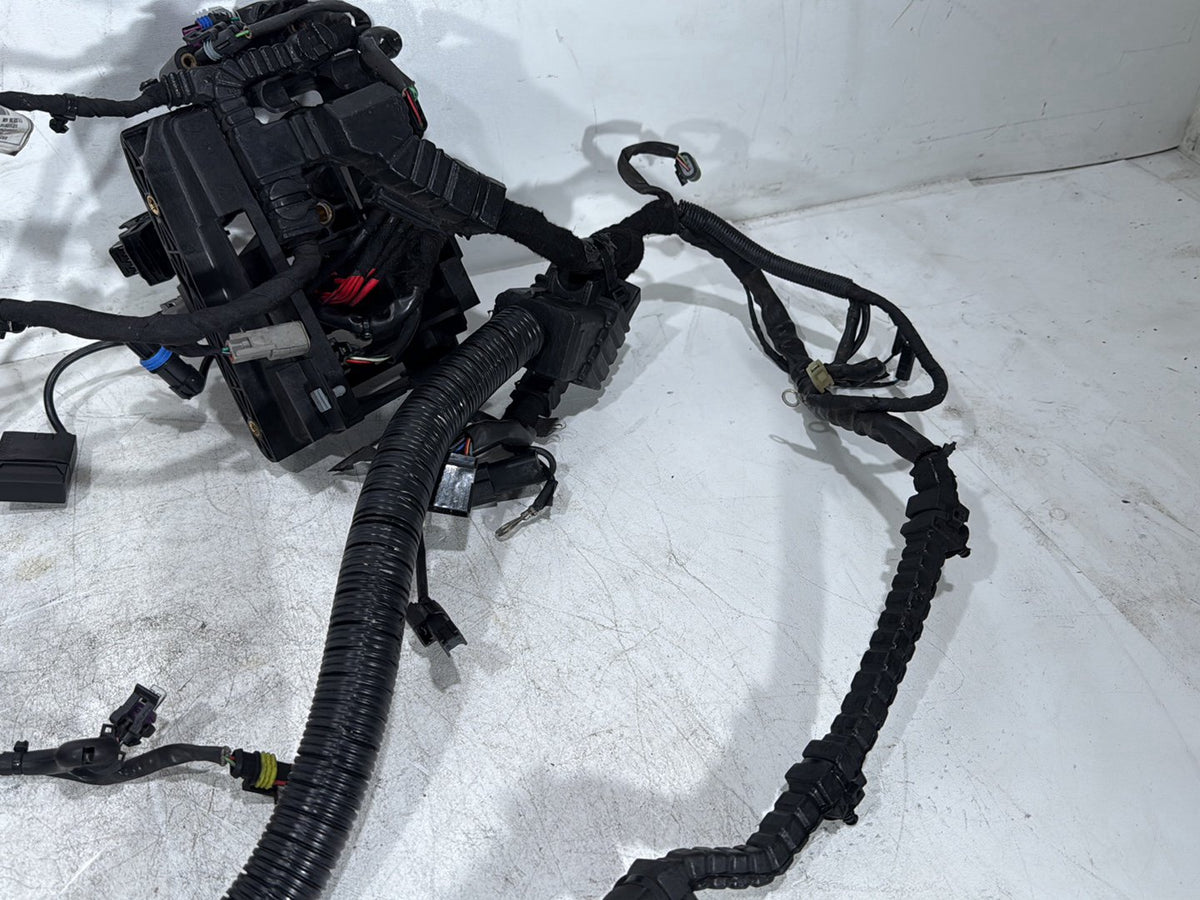 2014 Harley Dyna Low Rider FXDL OEM Main Wire Wiring Harness Loom NON-abs