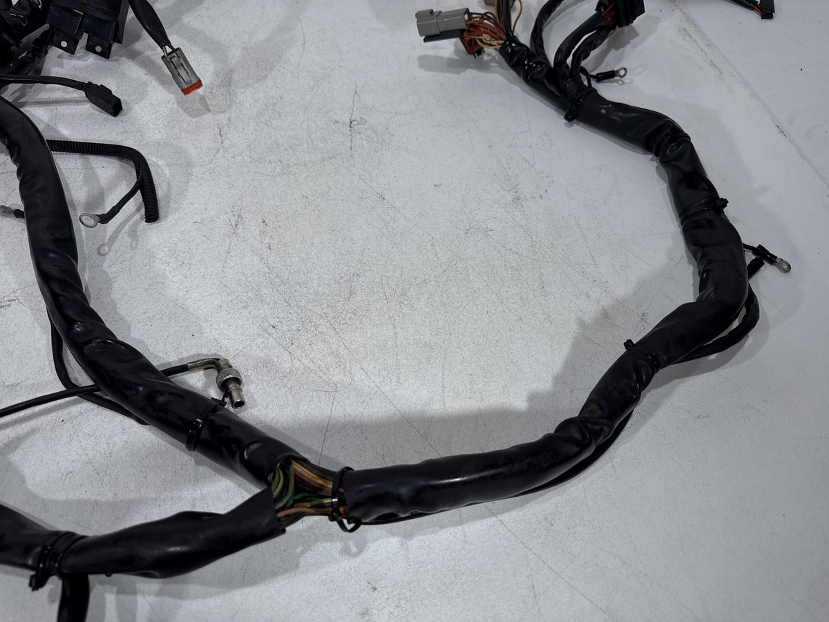 2002 Harley Electra Glide Touring Classic OEM Main Wire Wiring Harness Loom CARB