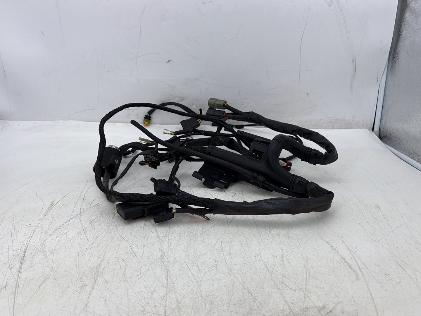2006 Harley Sportster XL883L Low Main Wire Wiring Harness Ignition Switch NOKey