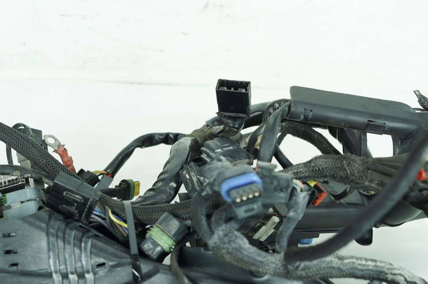 2004 - 2022 Harley-Davidson Sportster Custom Anniversary Main Wire Wiring Harness Loom 70181-08