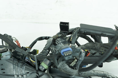 2004 - 2022 Harley-Davidson Sportster Custom Anniversary Main Wire Wiring Harness Loom 70181-08