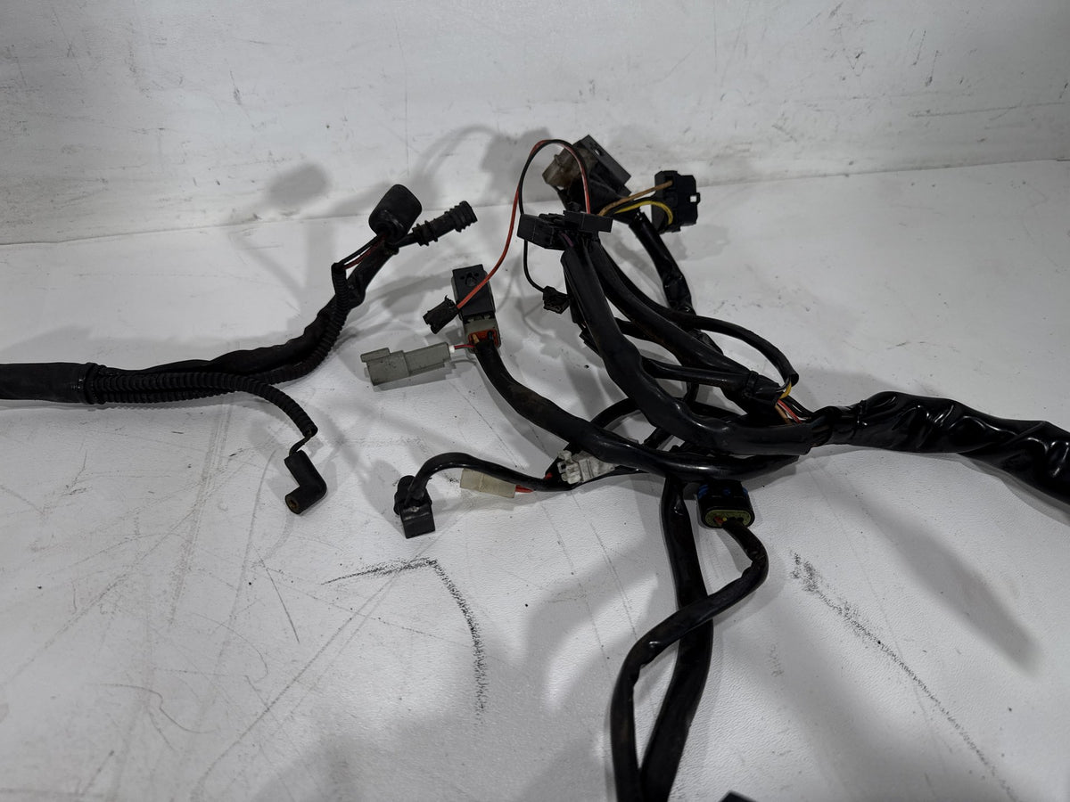 2006 Harley Road King Touring Custom OEM Main Wire Wiring Harness Loom