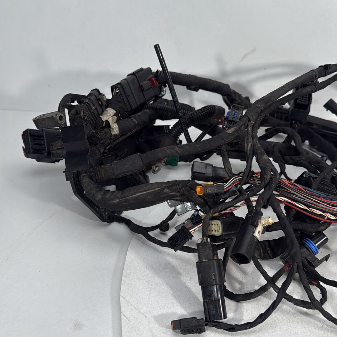 2017 - 2026 Harley-Davidson Softail Heritage Classic 114 Main Wire Wiring Harness Loom ABS 69201492