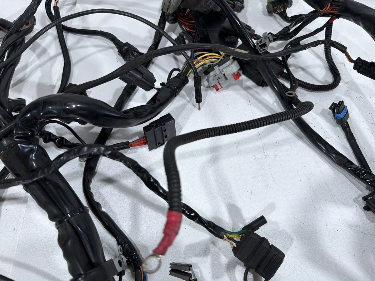 2004 Harley Electra Glide Touring Ultra OEM Main Wire Wiring Harness Loom