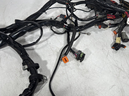 1999 - 2006 Harley-Davidson Touring Electra Glide Classic Main Wire Wiring Harness Loom  	70985-00