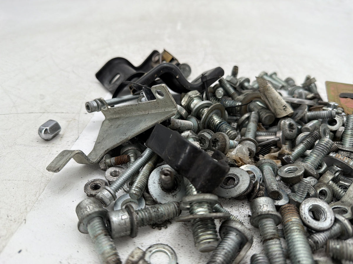 2009 Harley Electra Glide Touring CVO Eagle OEM Hardware Bolts Nuts & Brackets