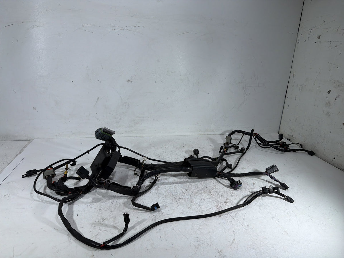 2001 Harley Fat Boy Softail FLSTFI OEM Main Wire Wiring Harness Loom CARB