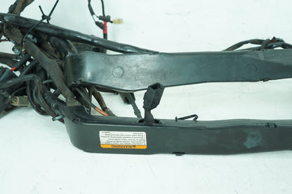 2007 - 2012 Harley-Davidson Touring Electra Glide Classic Main Wire Wiring Harness Loom 70985-07