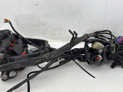 2008 Harley Softail Deluxe FLSTN OEM Main Wire Wiring Harness Loom