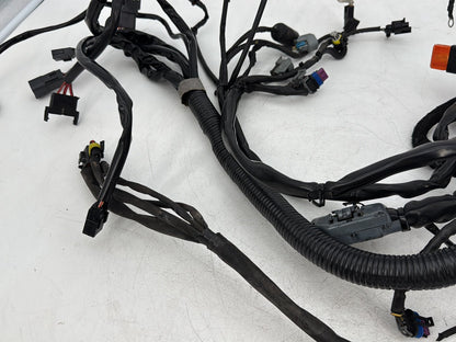 2006 - 2017 Harley-Davidson Dyna Street Bob Main Wire Wiring Harness Loom 69602-06
